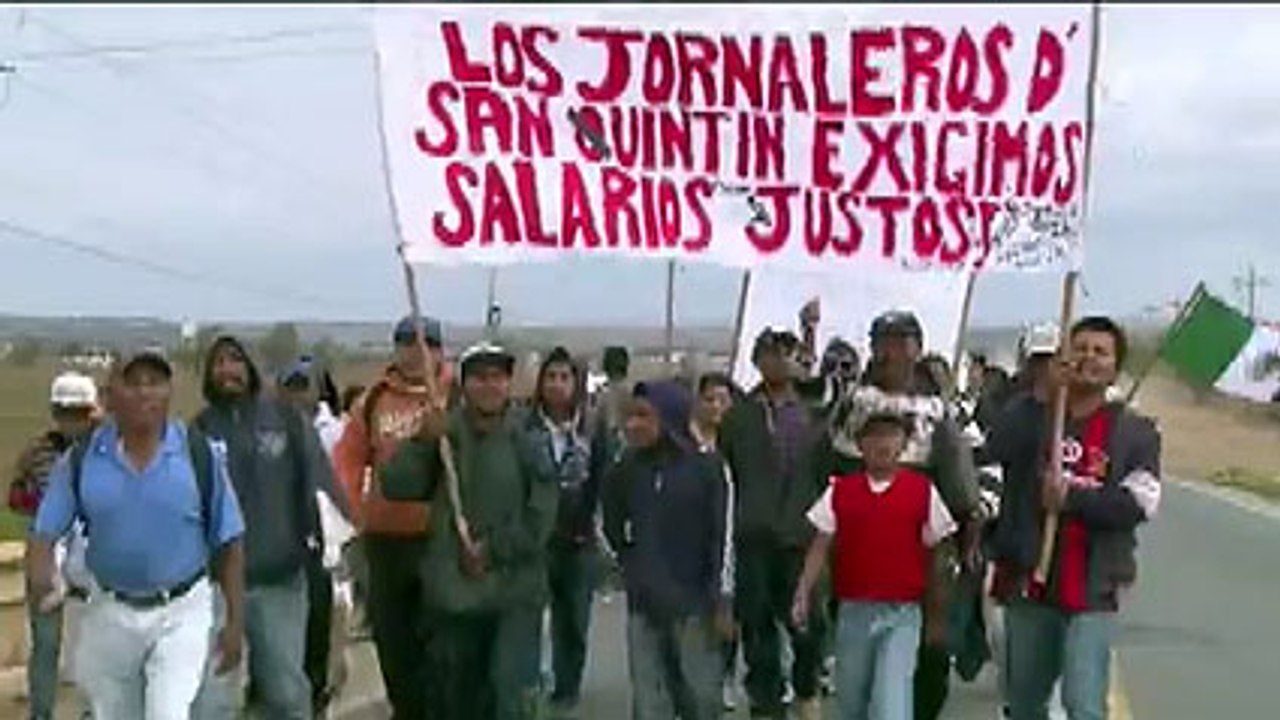Jornaleros en Baja California exigen fin a la explotación
