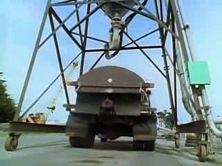 Animal Planet The top ten most swarming animals