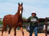 Arizona serves as home to retired race horses