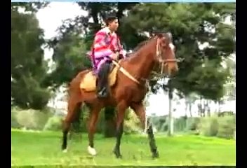 VOLVERE MADRECITA Markitos Pullay