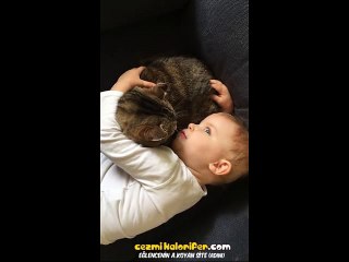 Bebişin Dertlerini Büyük Bir Sabırla Dinleyen Kedi