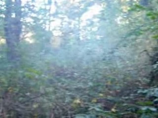 LE RETOUR  DE MADAME RATEAU