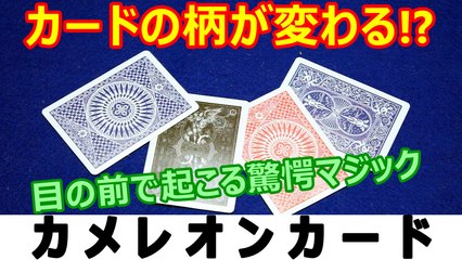 【種明かし】トランプの柄が次々と変わっていくマジック【カメレオンカード】 magic trick revealed