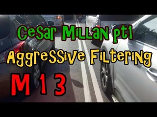 M13's NEW  TAIPEI SERIES with CESAR MILLAN