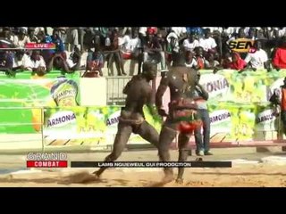 Lamb - GRAND COMBAT du lundi 06 févr. 2017