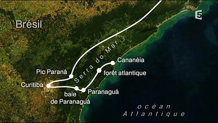 Le Brésil vu d'en haut - Sao Paulo et ses environ