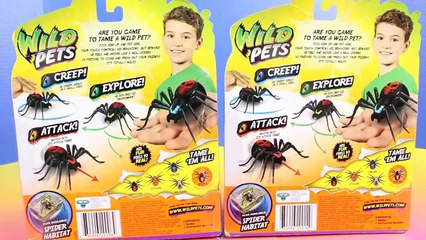 Wild Pets Spiders Scare Playmobil Summer Fun Cawerwer234234