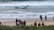 Severe Weather Can Help Beached Juvenile Humpback, Says Rescuer