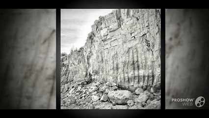 Kieselgur Pulver Lieferanten