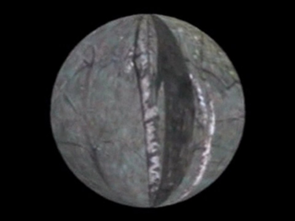an autumnal ball_