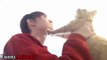 Funny Dog and Cat Doesn't Want Kisses Compildsfsd234234