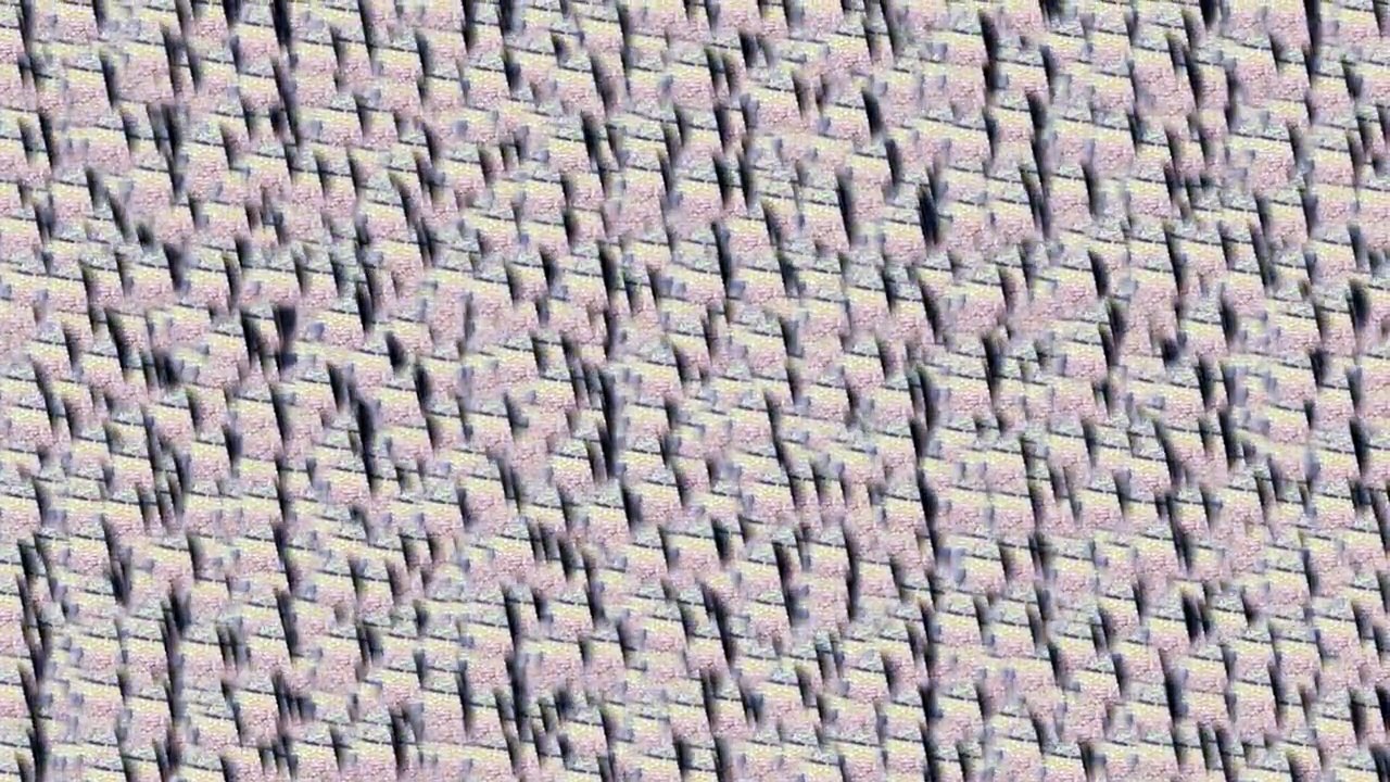 04101TrashRecPI  feat. Mr.TrashRecPI  -  Egal  /Full Film/Ganzer Film/Complete Movie