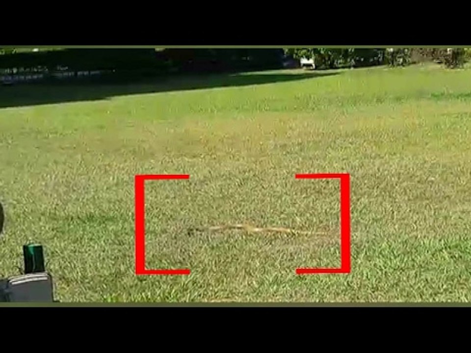 Cobra found outside Vidhana Soudha, Bengaluru