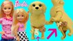 Pregnant BARBIE PUPPY BIRTH!!! Baby Delivery from Dog Goes To Barbie Pet Hospital + Chelsea is Sick