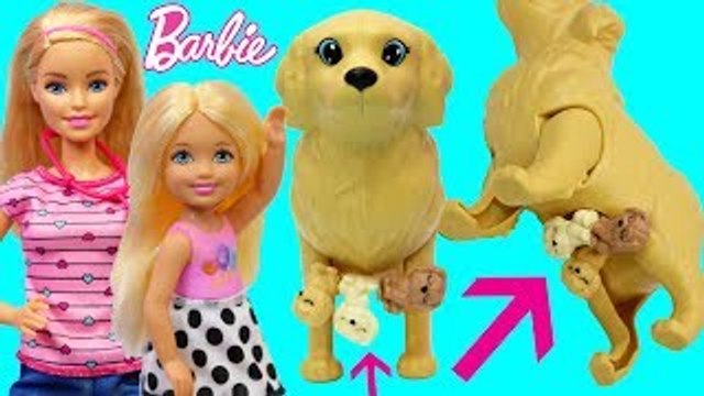 Pregnant BARBIE PUPPY BIRTH!!! Baby Delivery from Dog Goes To Barbie Pet Hospital + Chelsea is Sick