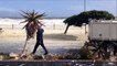 Les route de bord de mer en Afrique du sud recouvertes de mousse et d'écume