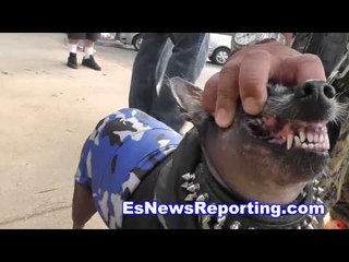 Dog Owner Says His Dog Got Him Walking Again - esnews