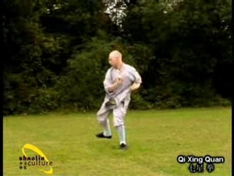 Qi xing quan