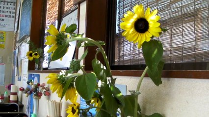 とんかつが食べたくなった久積篤史、これは飯テロすぎる (2)