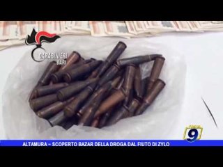 Altamura |  Scoperto il bazar della droga grazie al fiuto di Zylo