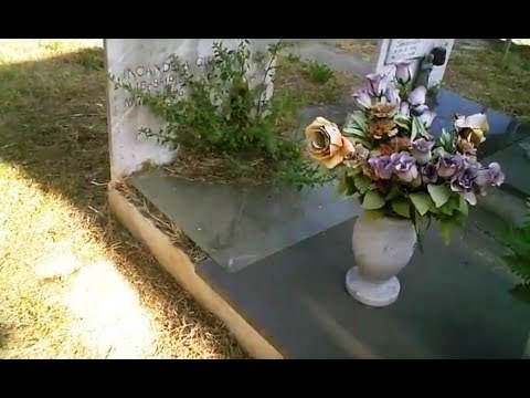 Aversa (CE) - Erbacce al cimitero, la situazione peggiora (08.06.17)