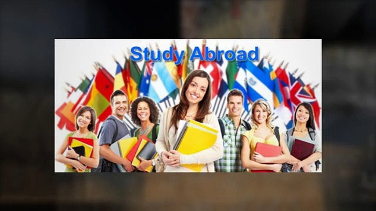 Professional Immigration Consultant
