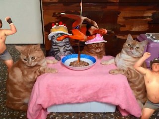 La nouvelle émission WTF "Piège à clics"