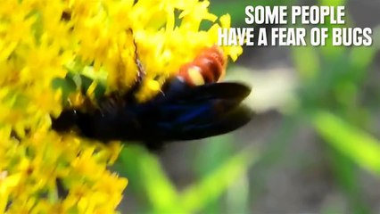 Why You Should Consider This