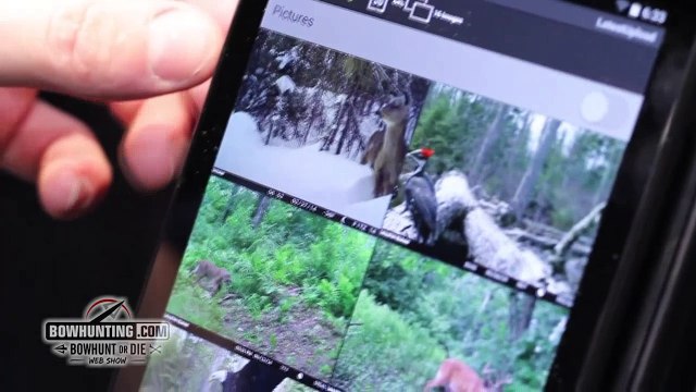 Stealth Cam GX45 Wireless Cellular Trail Camera Review