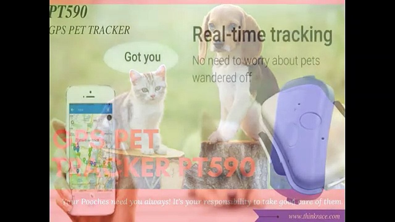 GPS Pets Tracker PT590 || ThinkRace