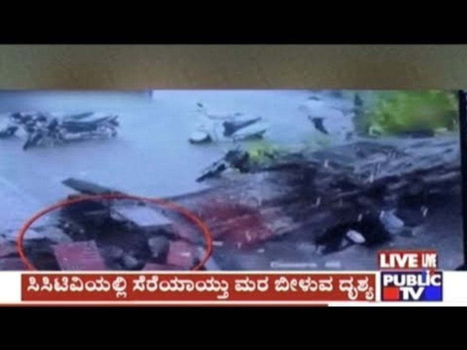 Watch: People cheat death after tree falls on road in Surat, Gujarat