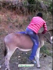 Heavy Bike Made using Donkey