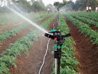 Kisan Market-Agri Marketing in India | Agri market prices