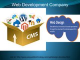 Do you need A Web Design Companies’ Noida?