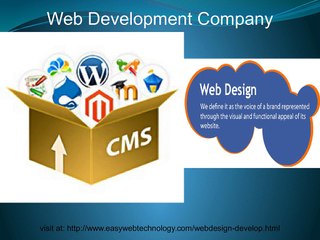 Easily find Web Development Company.