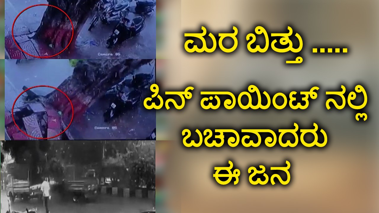 viral video :People Cheat de@th After Tree falls on road | Oneindia Kannada