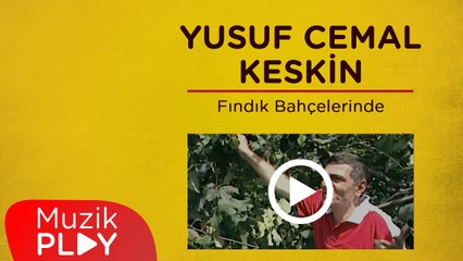 Yavuz Cemal Keskin - Fındık Bahçelerinde