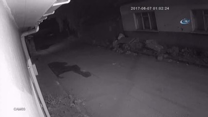 Küçükbaş Hayvan Hırsızları Kamerada