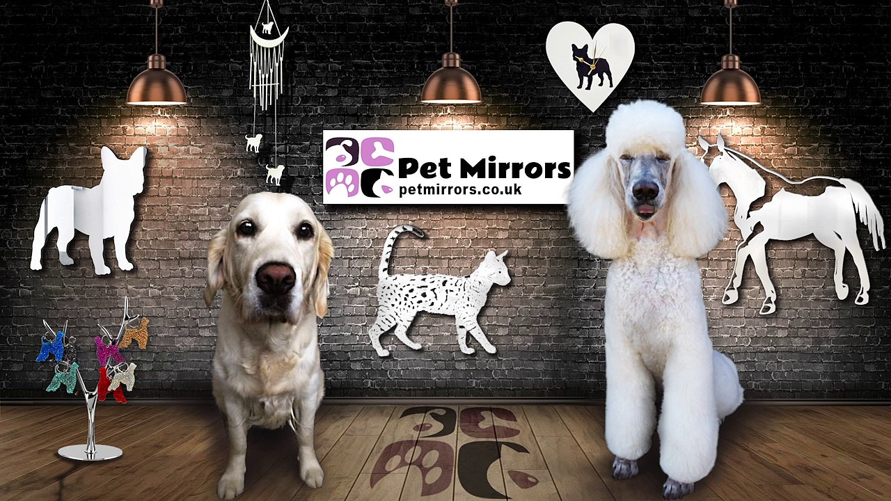 Pet Mirrors