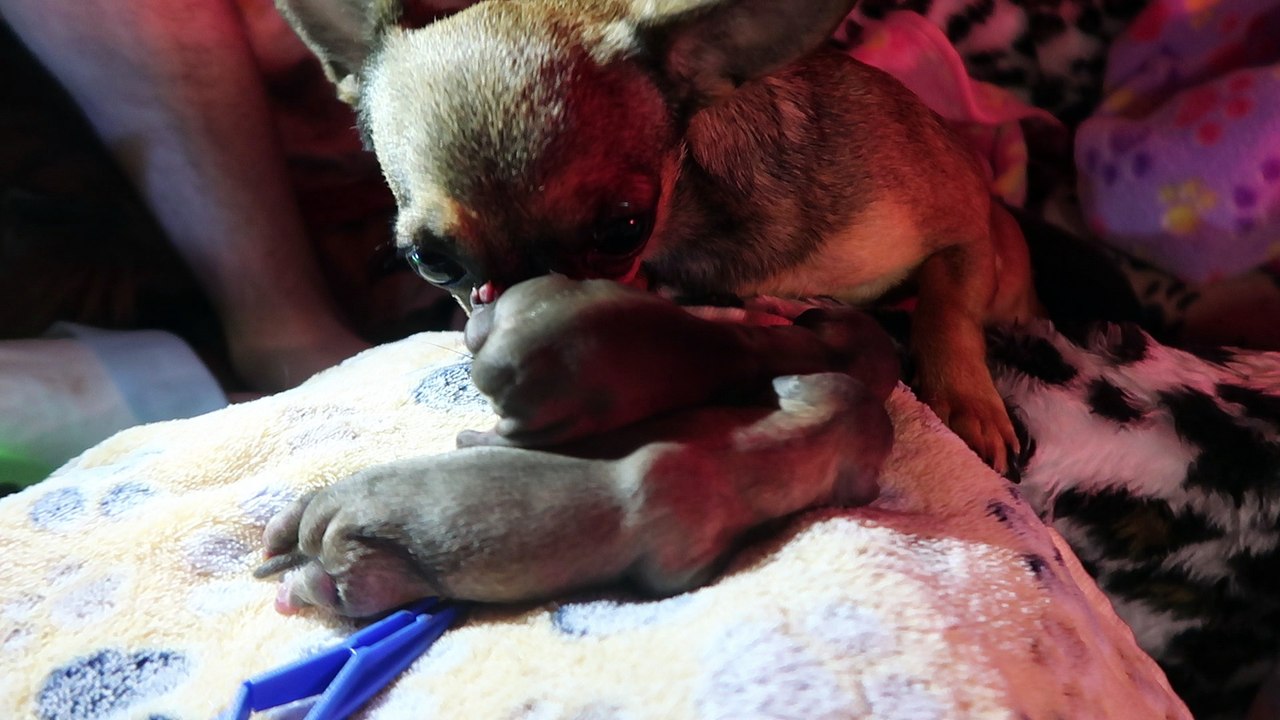 MVI_1191 NXR babys 1 week too early
