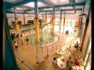 Vered Hasharon Travel & Tours- Enjoy Israel