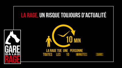 Gare à la rage : campagne 2019