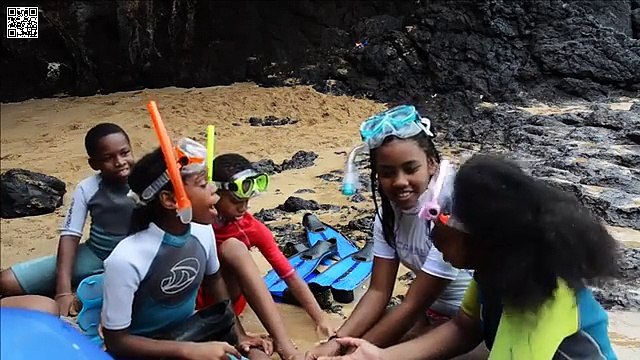 Planète Mer(e) - Court métrage d'éducation à l'environnement