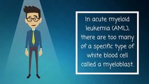 Acute Myeloid Leukemia - Causes, Symptoms, Treatments & More