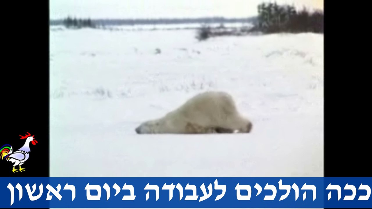 מה ההבדל בין יום ראשון ויום חמישי ??