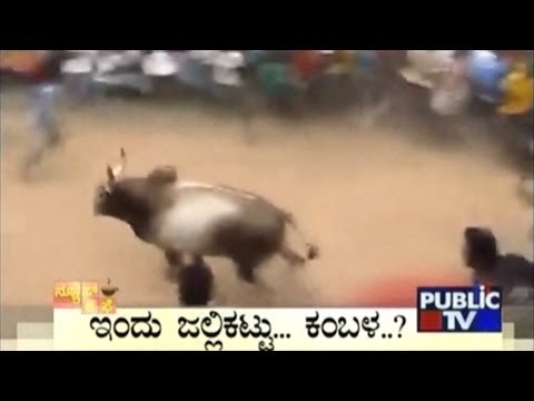 News Cafe | Top Stories | Jan 22nd, 2017 | 8:00 AM