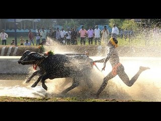 Watch video Kambala Training in Udupi,Karnataka