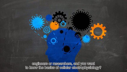 FUN-MOOC : Cellular neurophysiology : how neurons communicate