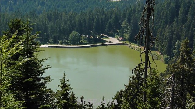 LE LAC VERT, LE LAC NOIR ET LE LAC BLANC DANS LE MASSIF DES VOSGES - JUILLET 2015