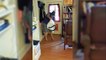 Terrifying moment woman catches six-foot snake with pillow case